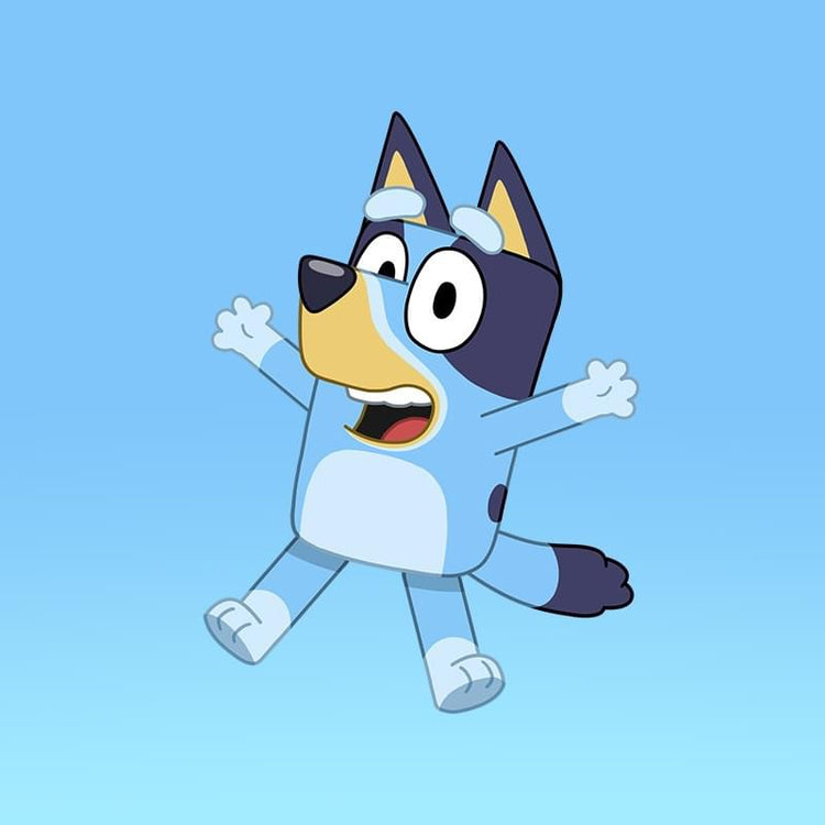 Bluey and Bingo